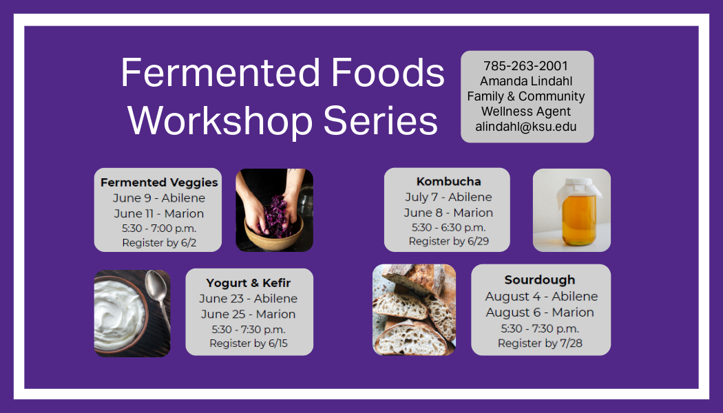 Fermenting WS Dates Fermented Foods Workshop